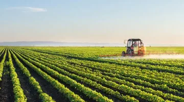 المغرب يخسر 294 ألف هكتار من الأراضي الزراعية… ما هو السبب وراء ذلك؟