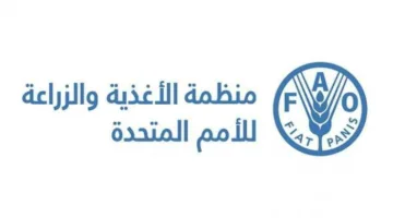 المنظمة العالمية للغذاء: 35% من احتياطي الأسماك في العالم يتعرض للصيد غير المستدام