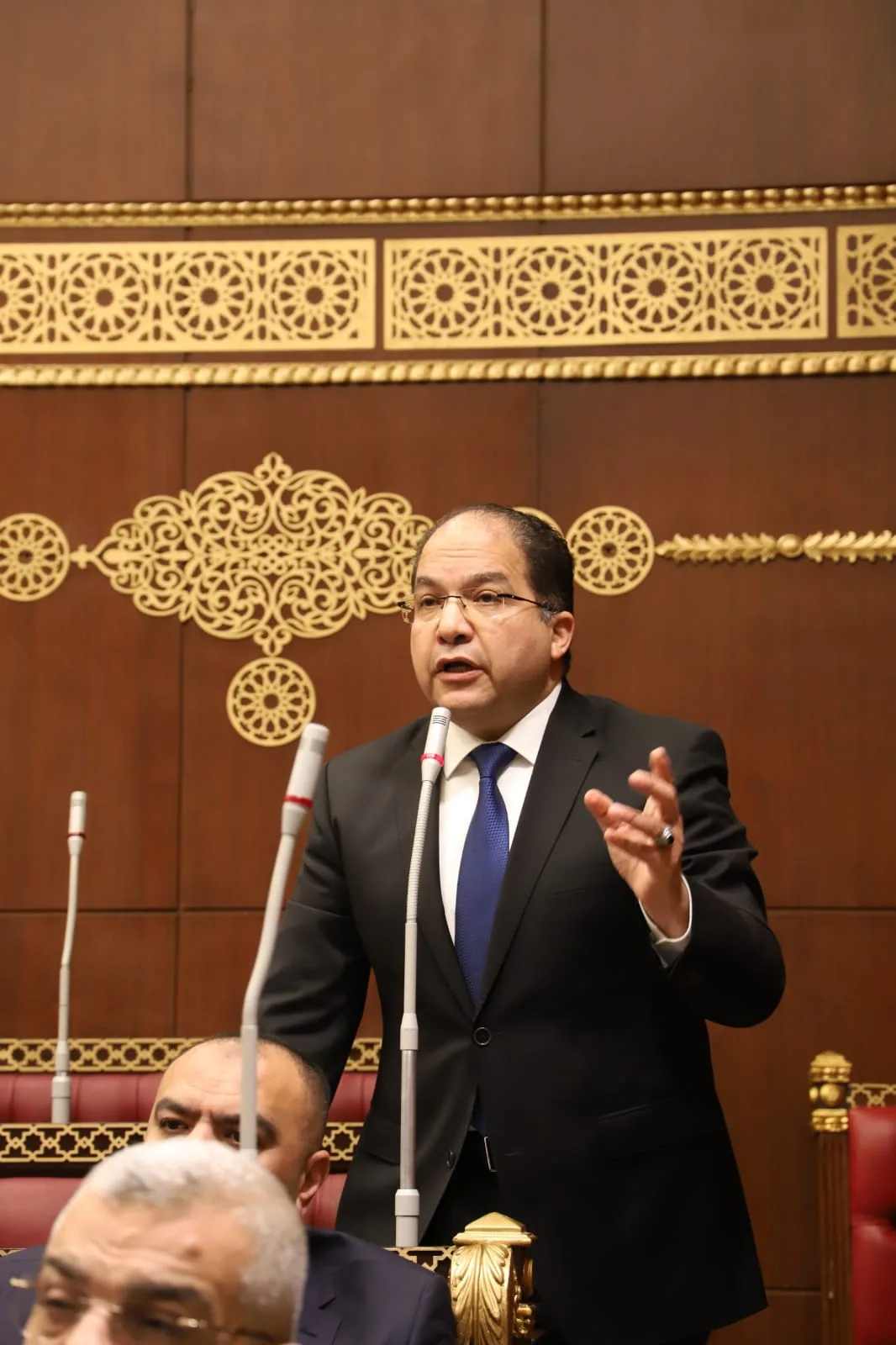 النائب عادل اللمعي يدعو الحكومة إلى اتخاذ إجراءات حازمة لمواجهة زيادة الأسعار في الأسواق. النائب عادل اللمعي يدعو الحكومة إلى اتخاذ إجراءات حازمة لمواجهة زيادة الأسعار في الأسواق.