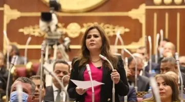 النائبة أمل رمزي لـ«الحرية»: ثورة 30 يونيو أنقذت الوطن من سيناريوهات متوقعة وأعادت تشكيل المشهد السياسي في مصر.