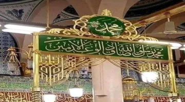 النبي ﷺ أفضل مُعلم في تاريخ البشرية