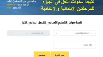 النتائج الرسمية لسنوات النقل في الجيزة متاحة الآن: المرحلتان الابتدائية والإعدادية
