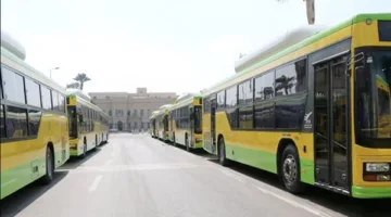 «النقل العام» تقدم خدمة منتظمة لأسواق السيارات الجديدة يومي الجمعة والأحد