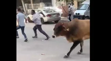 «الهروب العجول» يتصدر الترند في وقت مبكر.. «فقرتي المفضلة خلال العيد» (فيديوهات)