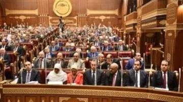 «الهيئة الشيوخ» تواصل جلساتها اليوم بطرح طلبات لمناقشة قضايا مكافحة التنمر والتحرش
