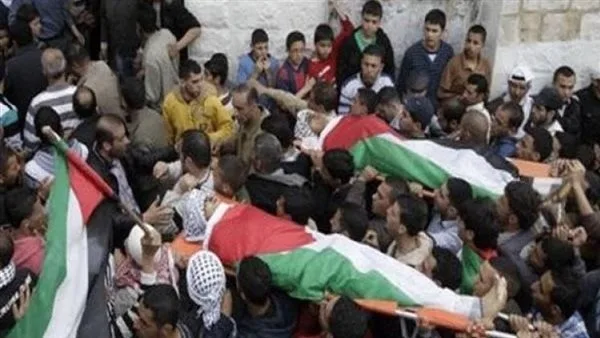 الهيئة الفلسطينية: حكومة الاحتلال تتحمل مسؤولية جرائم المستوطنين في كفر مالك الهيئة الفلسطينية: حكومة الاحتلال تتحمل مسؤولية جرائم المستوطنين في كفر مالك