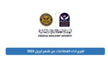 الهيئة المالية تُصدر تقريرًا عن التمويل المقدم من الجهات الخاضعة للرقابة