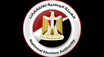 الهيئة الوطنية للانتخابات تستعرض التقرير النهائي لانتخابات مجلس الشيوخ غدًا