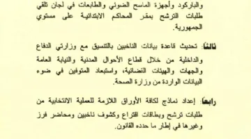 الهيئة الوطنية للانتخابات تكشف يوم الثلاثاء المقبل عن تفاصيل انتخابات مجلس الشيوخ