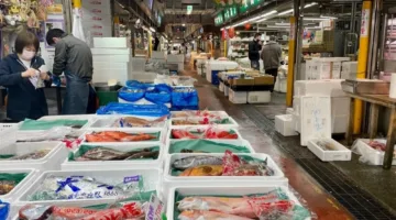 انخفاض أسعار المنتجين في اليابان خلال شهر مايو الماضي