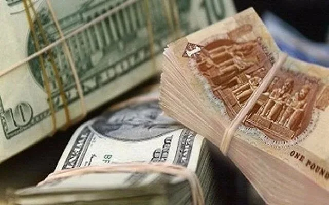 انخفاض سعر الدولار اليوم في مصر رغم الضغوط العالمية