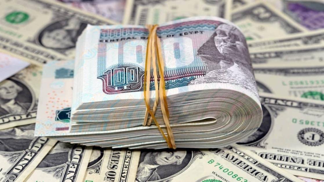 انطلاق متقلب لسعر الدولار في مصر اليوم.. إليك أحدث المستجدات انطلاق متقلب لسعر الدولار في مصر اليوم.. إليك أحدث المستجدات