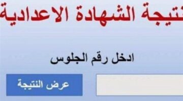 «انطلاق مرحلة تقييم الدرجات».. موعد كشف نتائج الشهادة الإعدادية في القليوبية