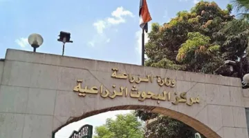 انطلاقة بحثية بمركز البحوث الزراعية تُتيح فرصاً جديدة في مجال الاستثمار الزراعي