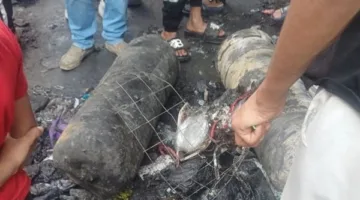 انفجار أسطوانة غاز يؤدي إلى حريق في سوق شارع سليم بفيصل.. و«الدفاع المدني» يتمكن من إخماد النيران