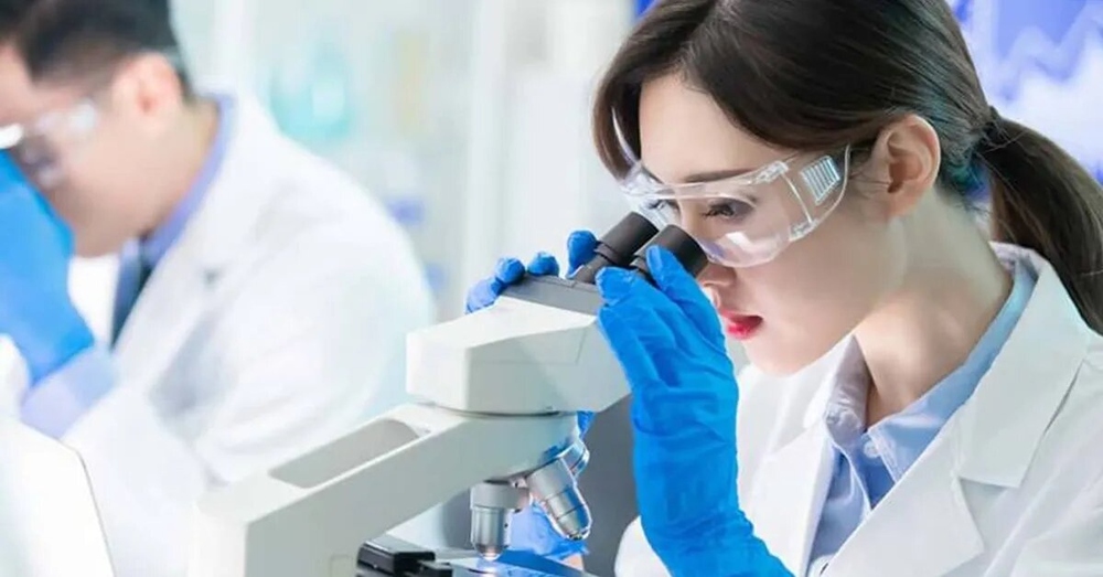 باحثون من الصين يبتكرون نظامًا ذكياً لدراسة علم الجينوم الوظيفي للنباتات. باحثون من الصين يبتكرون نظامًا ذكياً لدراسة علم الجينوم الوظيفي للنباتات.