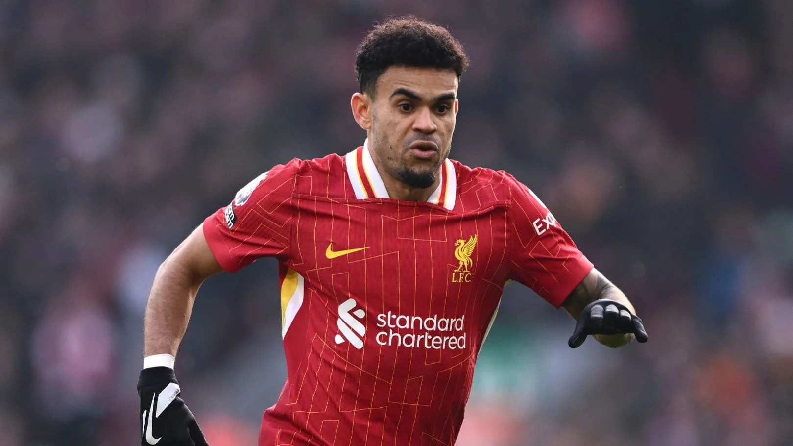 بايرن ميونخ يُطارد لويس دياز من ليفربول.. التفاصيل الكاملة بايرن ميونخ يُطارد لويس دياز من ليفربول.. التفاصيل الكاملة