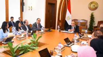 وزير الخارجية يؤكد على أهمية التواصل المستمر مع الجاليات المصرية في الخارج