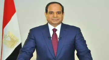 بث حي.. خطاب الرئيس السيسي في الذكرى الثانية عشرة لثورة يونيو