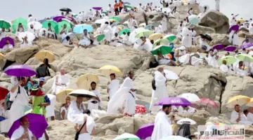 بث حي من عرفات الآن: حجاج بيت الله في عرفة وأداء صلاة الظهر والعصر جمعًا، والمغادرة عند غروب الشمس.