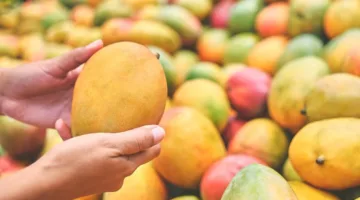 بدء إصدار تصاريح تصدير المانجو المصري إلى الأردن
