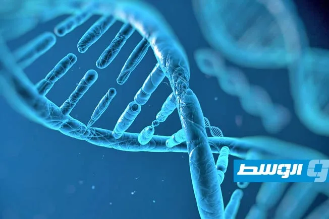 بدء مشروع مثير للجدل لإنشاء الجينوم البشري بشكل صناعي بدء مشروع مثير للجدل لإنشاء الجينوم البشري بشكل صناعي