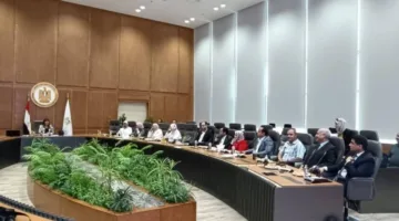 برنامج لدعم الأشخاص ذوي الإعاقة في الجامعات المصرية