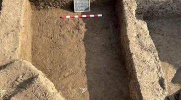 بعثة بريطانية تكتشف المدينة الفرعونية “إيمت” في دلتا مصر