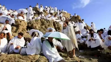 بعثة حج الجمعيات الأهلية تراقب خطة نقل الحجاج إلى المدينة المنورة