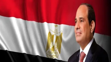 بعد إقرار القانون، 6 شروط أساسية يجب أن يستوفيها المتخصصون في الفتوى الشرعية