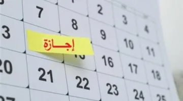 بعد استئناف الموظفين لعملهم: عدد أيام الإجازة المتبقية في عام 2025