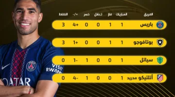 بعد انتصارات باريس وبوتافوجو.. ترتيب المجموعة الثانية في كأس العالم للأندية 2025