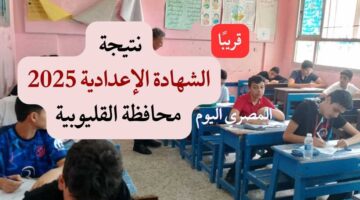 بعد تعديل 3 مواد: تاريخ إعلان نتائج الشهادة الإعدادية لعام 2025 في محافظة القليوبية