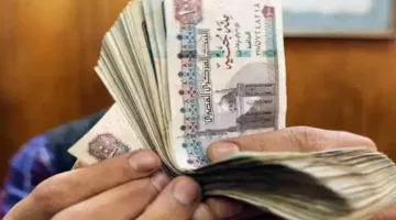 بعد تغييرات الفائدة… معلومات حول أعلى عائد لشهادات بنك مصر 2025