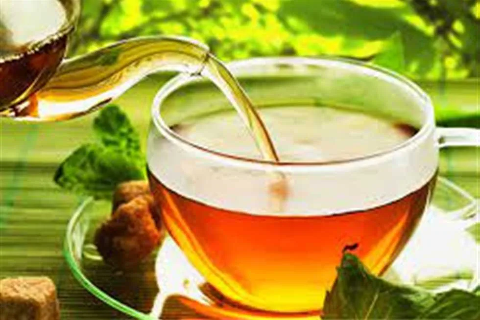 بعد تناول فتة العيد.. أبرز الأعشاب الطبيعية لتنظيم ضغط الدم بعد تناول فتة العيد.. أبرز الأعشاب الطبيعية لتنظيم ضغط الدم