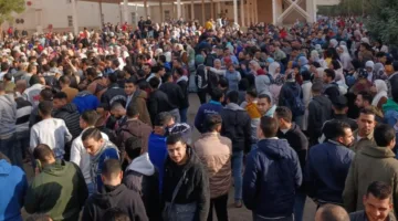 بعد حادث المنوفية.. تحرك تشريعي بشأن قضايا العمالة غير الرسمية