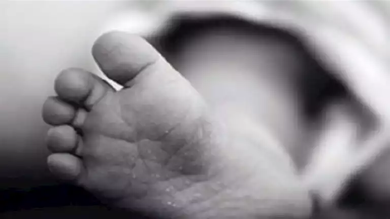 بقايا رضيع تحت أنياب الذئاب.. اكتشاف رأس طفل شمال قنا بقايا رضيع تحت أنياب الذئاب.. اكتشاف رأس طفل شمال قنا