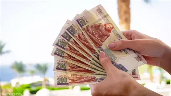بقي يومان على انطلاق صرف رواتب يونيو 2025 لجميع موظفي الدولة (تفاصيل)