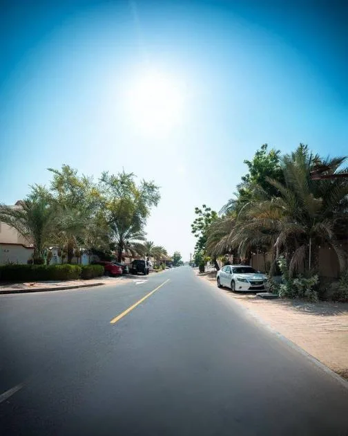 بلدية عجمان تُكمل إنشاء طرق داخلية في منطقة «الروضة 2» بلدية عجمان تُكمل إنشاء طرق داخلية في منطقة «الروضة 2»