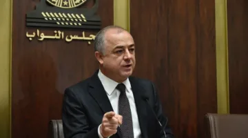 بو صعب: نتطلع إلى مشروع الحكومة حول قانون الانتخابات