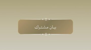 بيان الرئاسة المشتركة لمؤتمر الأمم المتحدة بشأن حل القضية الفلسطينية بالطرق السلمية