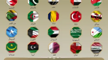 بيان موحد لعشرين دولة، بما في ذلك مصر، يندد بالهجمات الإسرائيلية على إيران.
