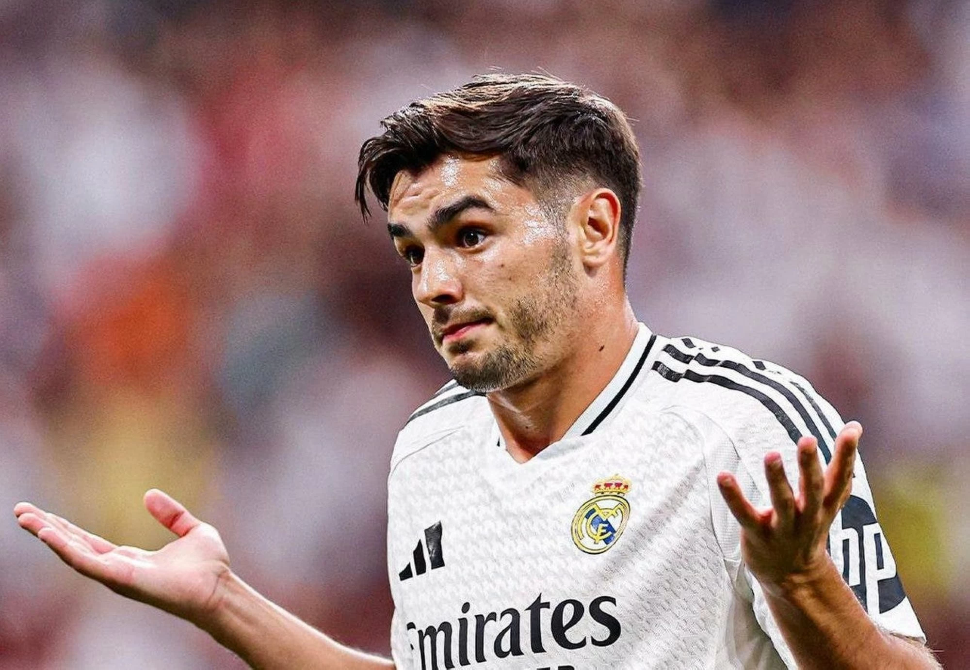 بيريز يحدد مصير إبراهيم دياز مع ريال مدريد ويرفض العروض من الأندية الأوروبية بيريز يحدد مصير إبراهيم دياز مع ريال مدريد ويرفض العروض من الأندية الأوروبية