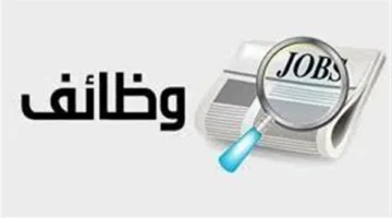 تأمين اجتماعي وصحي.. وزارة العمل تضيف 200 فرصة جديدة في قطاع التمويل