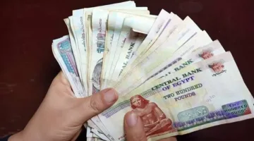 تاريخ توزيع مساعدات برنامج تكافل وكرامة للأسر الأكثر احتياجاً لشهر يونيو 2025