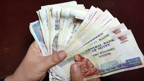 تاريخ توزيع مساعدات برنامج تكافل وكرامة للأسر الأكثر احتياجاً لشهر يونيو 2025 تاريخ توزيع مساعدات برنامج تكافل وكرامة للأسر الأكثر احتياجاً لشهر يونيو 2025
