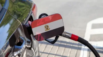 تحالف مصري فرنسي لإنتاج 240 ألف سيارة محلياً بحلول عام 2030
