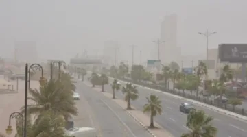تحذير من الأرصاد: عواصف غبارية تضرب عدة محافظات في منطقة مكة الساحلية