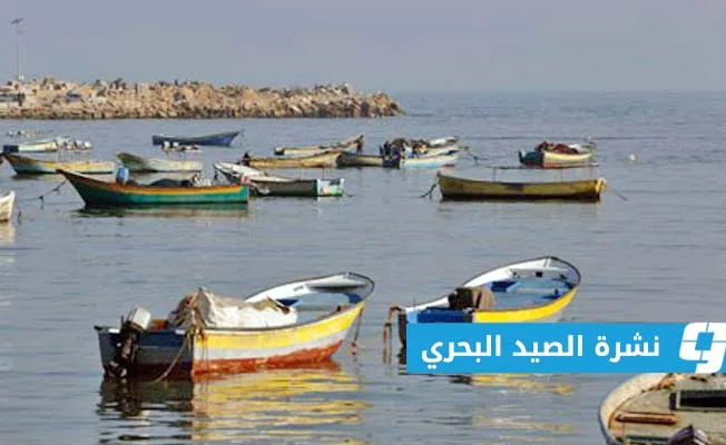 تحذير من هبوب رياح شديدة على الساحل من شحات إلى خليج بومبا