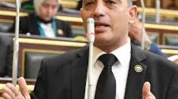 تحركات نيابية بشأن تأخر إصدار لائحة قانون حماية حقوق كبار السن